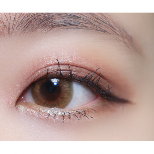 LENSME Megalook Fallin Brown(月拋)